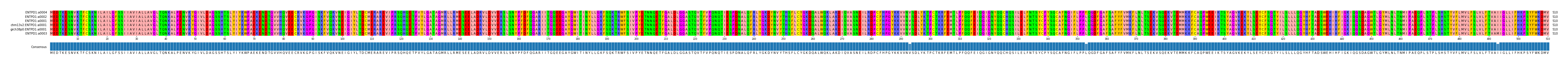 Multiple Alignments (by translate haplotype similarity)