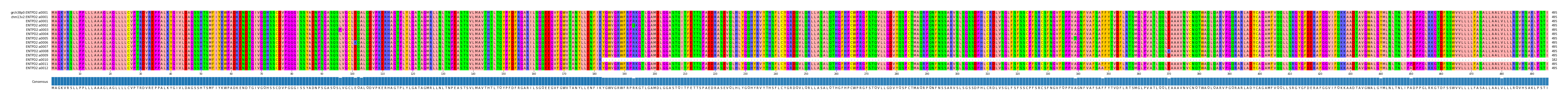 Multiple Alignments (by translate haplotype frequency)