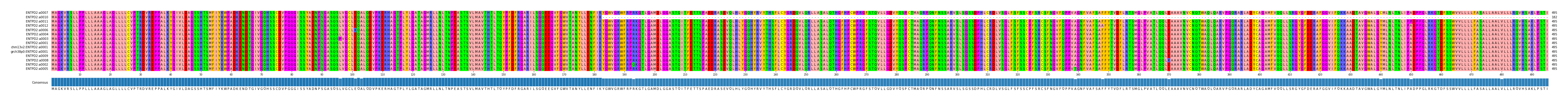 Multiple Alignments (by translate haplotype similarity)