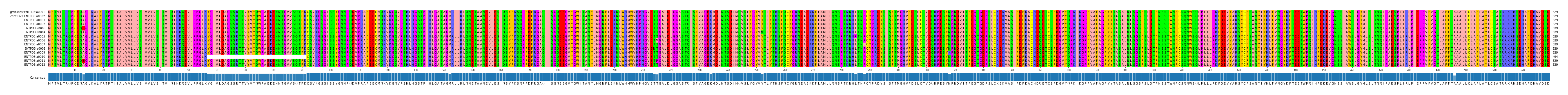 Multiple Alignments (by translate haplotype frequency)
