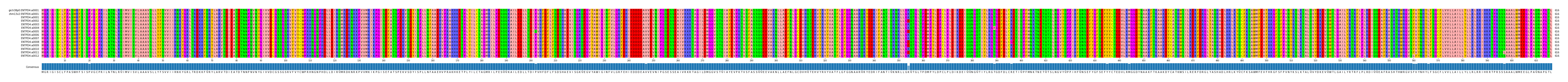 Multiple Alignments (by translate haplotype frequency)