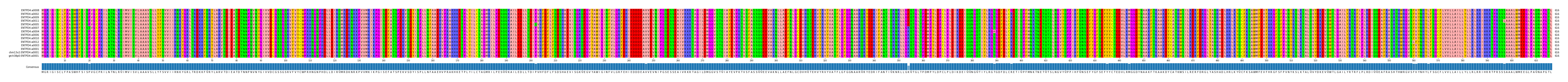 Multiple Alignments (by translate haplotype similarity)