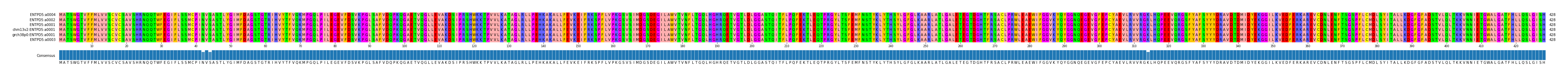 Multiple Alignments (by translate haplotype similarity)