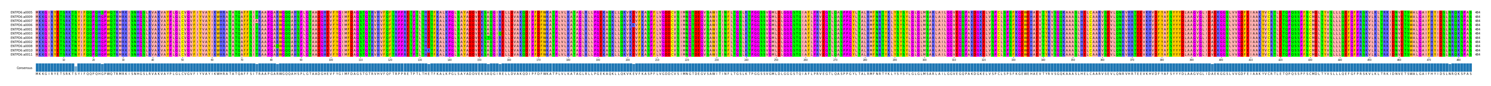 Multiple Alignments (by translate haplotype similarity)