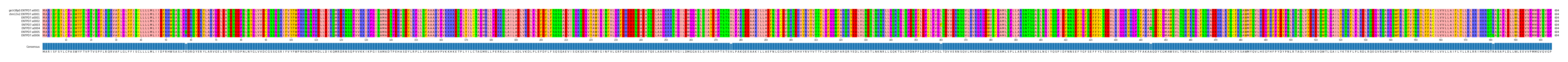 Multiple Alignments (by translate haplotype frequency)