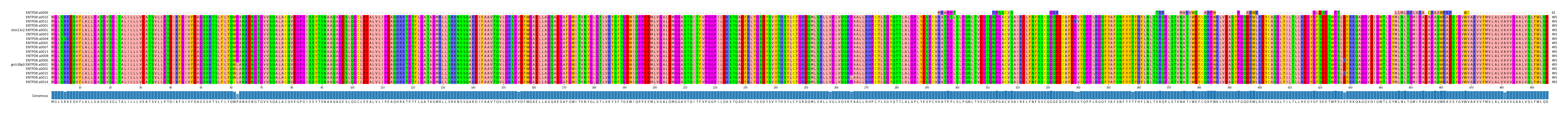 Multiple Alignments (by translate haplotype similarity)