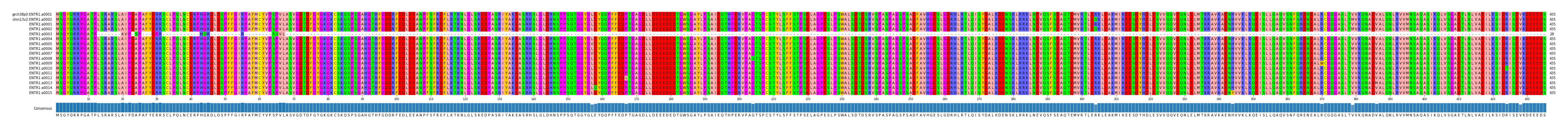Multiple Alignments (by translate haplotype frequency)