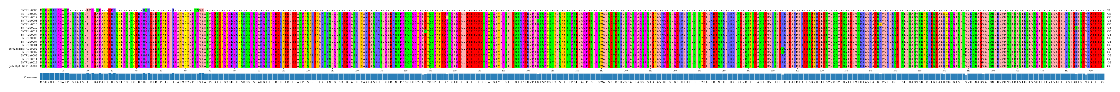 Multiple Alignments (by translate haplotype similarity)