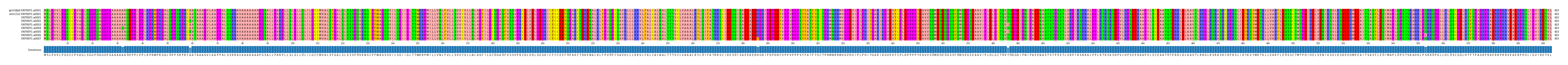 Multiple Alignments (by translate haplotype frequency)