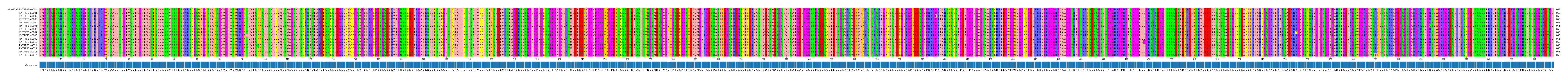 Multiple Alignments (by translate haplotype frequency)