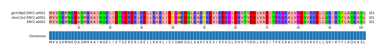 Multiple Alignments (by translate haplotype frequency)