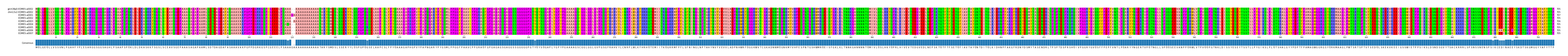 Multiple Alignments (by translate haplotype frequency)