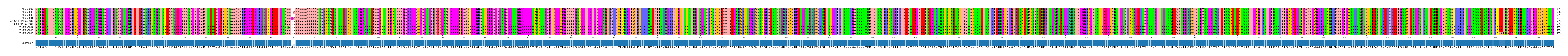 Multiple Alignments (by translate haplotype similarity)