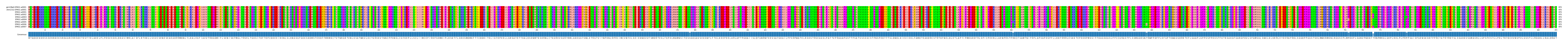 Multiple Alignments (by translate haplotype frequency)