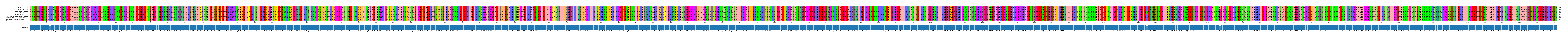 Multiple Alignments (by translate haplotype similarity)