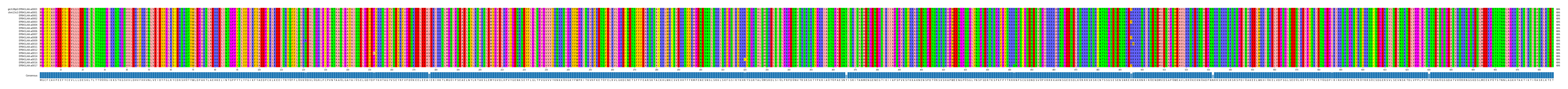 Multiple Alignments (by translate haplotype frequency)