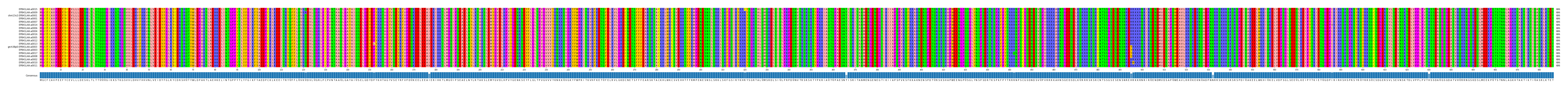Multiple Alignments (by translate haplotype similarity)