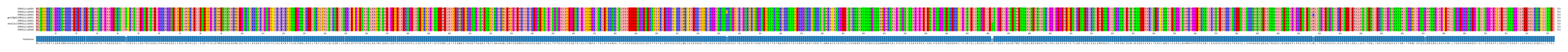 Multiple Alignments (by translate haplotype similarity)