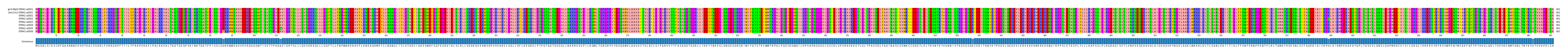 Multiple Alignments (by translate haplotype frequency)