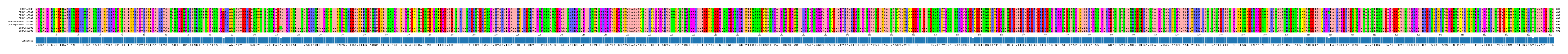 Multiple Alignments (by translate haplotype similarity)