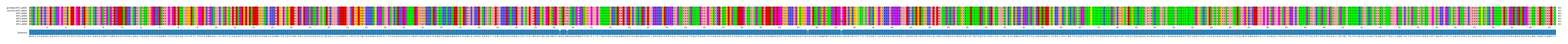 Multiple Alignments (by translate haplotype frequency)