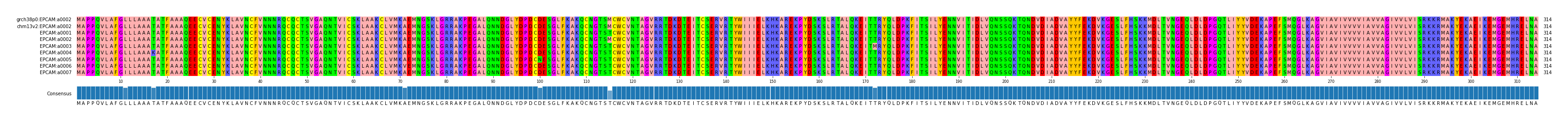 Multiple Alignments (by translate haplotype frequency)
