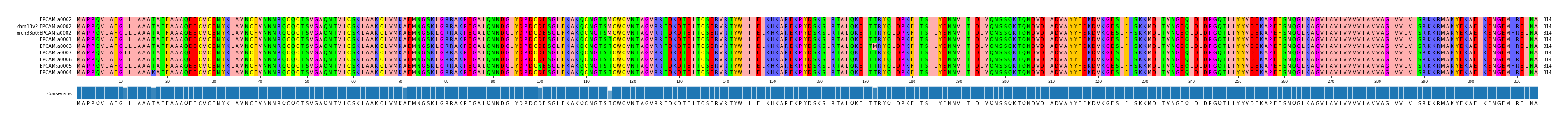 Multiple Alignments (by translate haplotype similarity)
