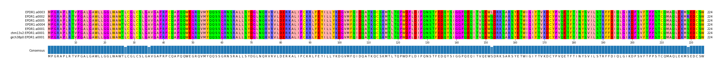 Multiple Alignments (by translate haplotype similarity)