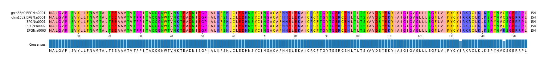 Multiple Alignments (by translate haplotype frequency)