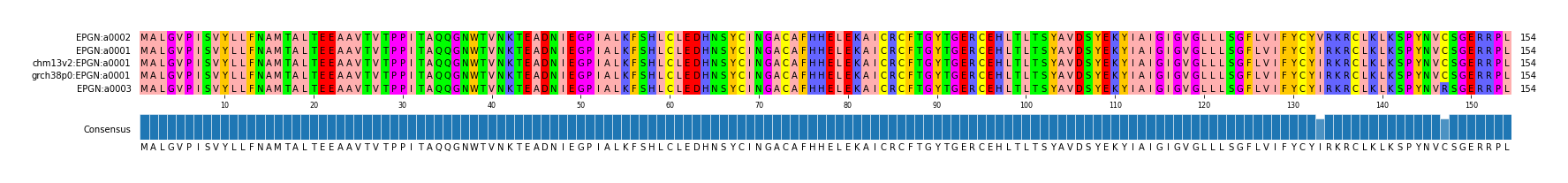 Multiple Alignments (by translate haplotype similarity)