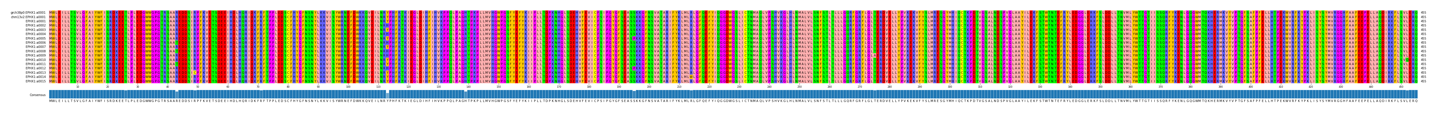 Multiple Alignments (by translate haplotype frequency)