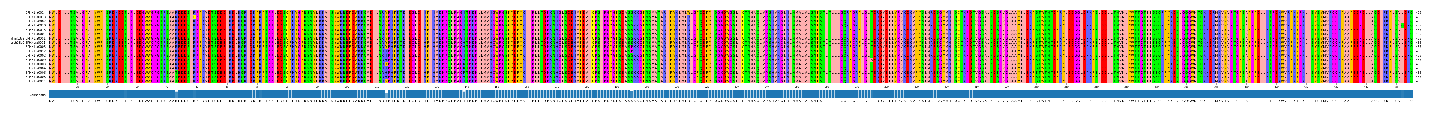 Multiple Alignments (by translate haplotype similarity)