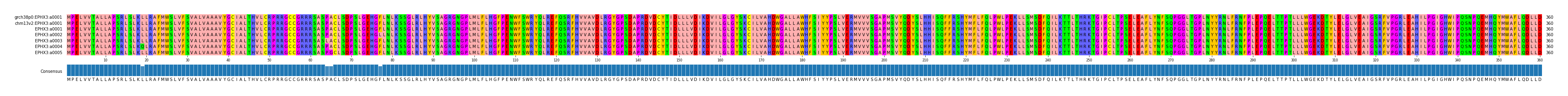 Multiple Alignments (by translate haplotype frequency)