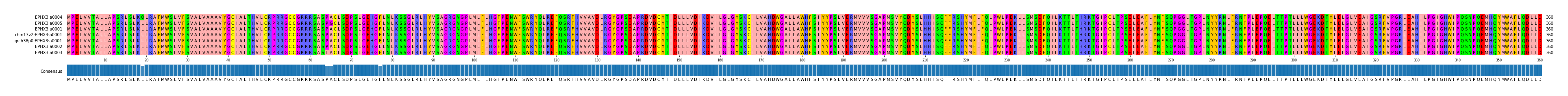 Multiple Alignments (by translate haplotype similarity)