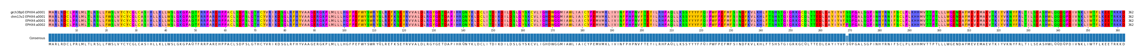 Multiple Alignments (by translate haplotype similarity)