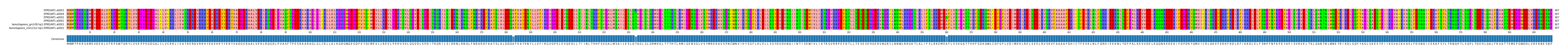 Multiple Alignments (by translate haplotype similarity)