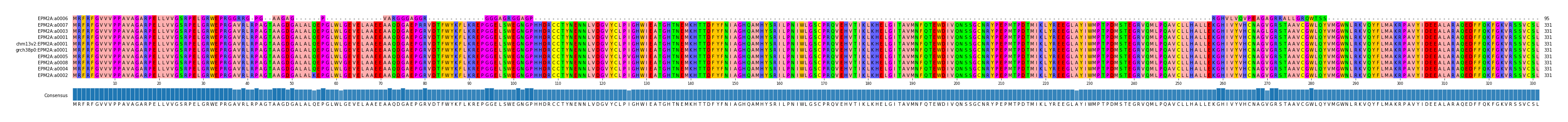 Multiple Alignments (by translate haplotype similarity)