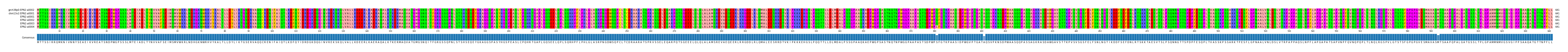 Multiple Alignments (by translate haplotype frequency)
