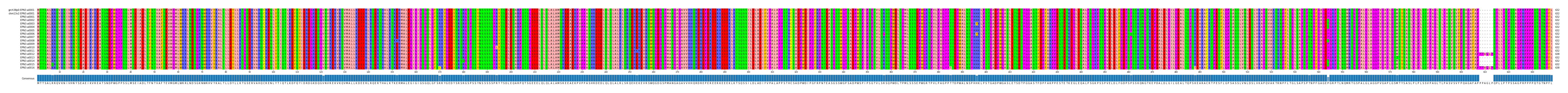 Multiple Alignments (by translate haplotype frequency)