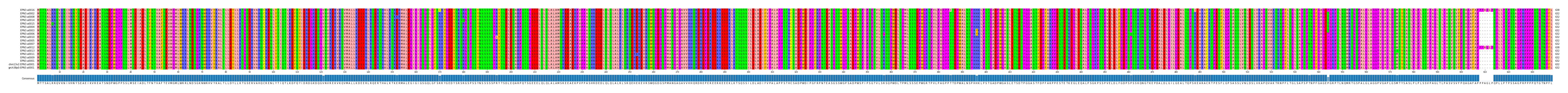 Multiple Alignments (by translate haplotype similarity)