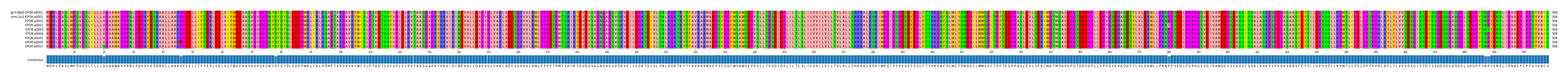 Multiple Alignments (by translate haplotype frequency)