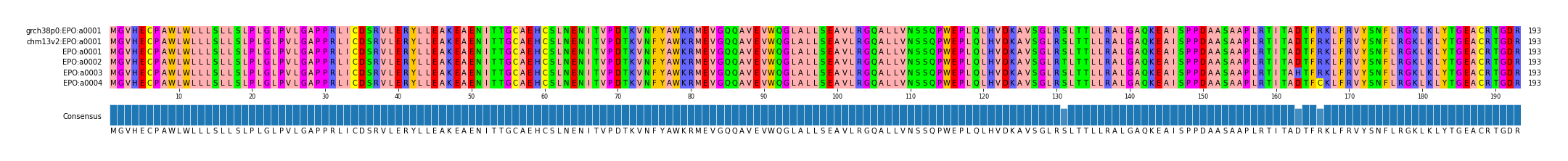 Multiple Alignments (by translate haplotype frequency)