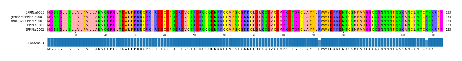Multiple Alignments (by translate haplotype similarity)