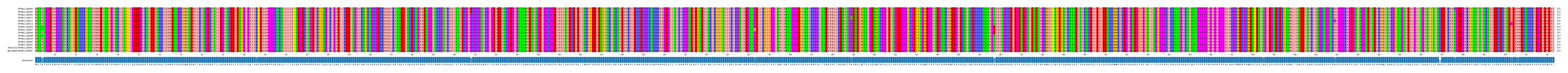 Multiple Alignments (by translate haplotype similarity)