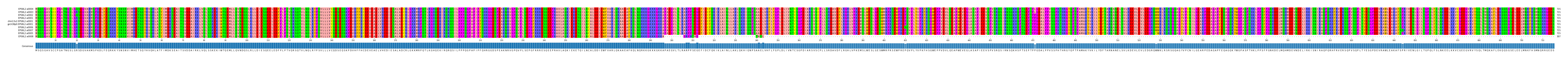 Multiple Alignments (by translate haplotype similarity)