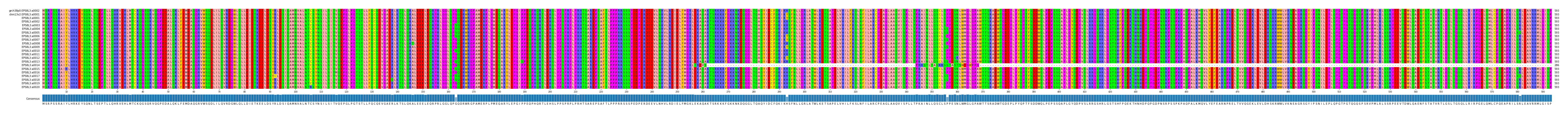 Multiple Alignments (by translate haplotype frequency)