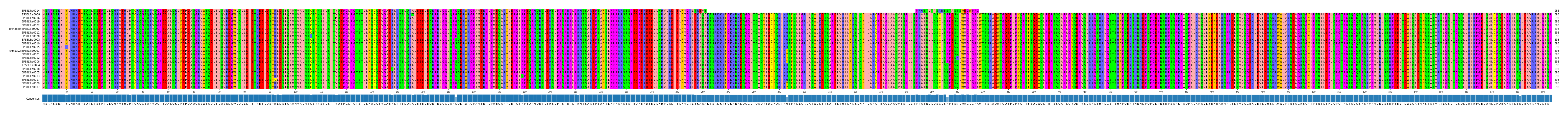 Multiple Alignments (by translate haplotype similarity)