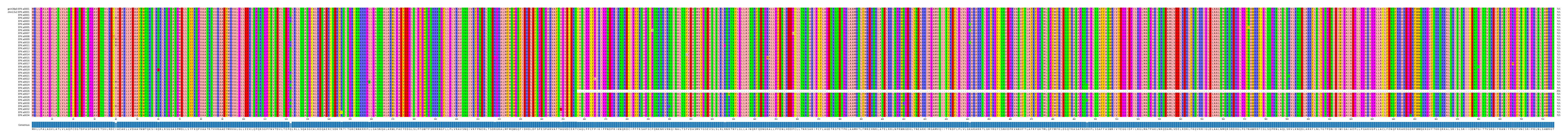 Multiple Alignments (by translate haplotype frequency)