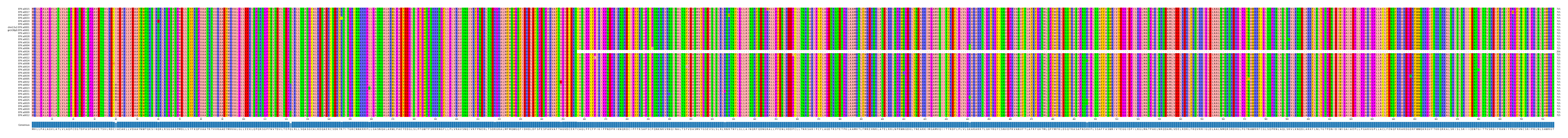 Multiple Alignments (by translate haplotype similarity)