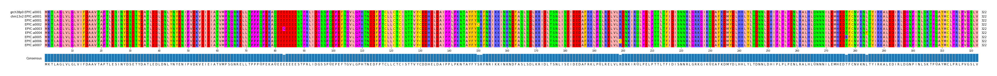 Multiple Alignments (by translate haplotype frequency)